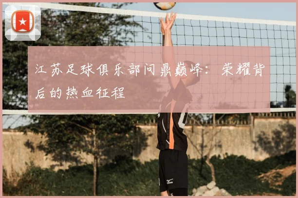 江苏足球俱乐部问鼎巅峰：荣耀背后的热血征程